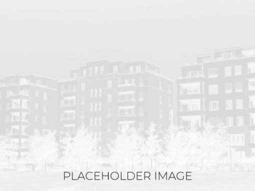 Chestnut Commons
