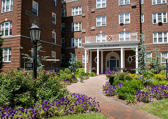 The Midland